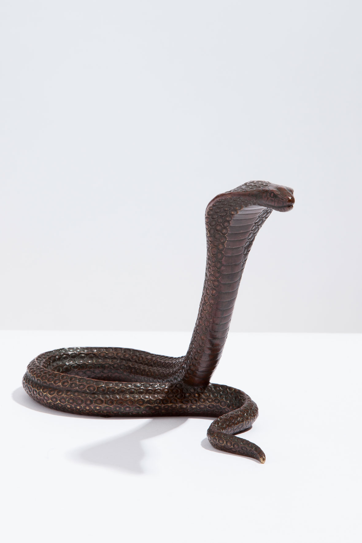 Dunand Snake